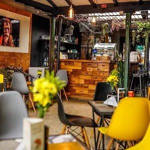 Casa de hóspedes Panela Coffee, Medellín